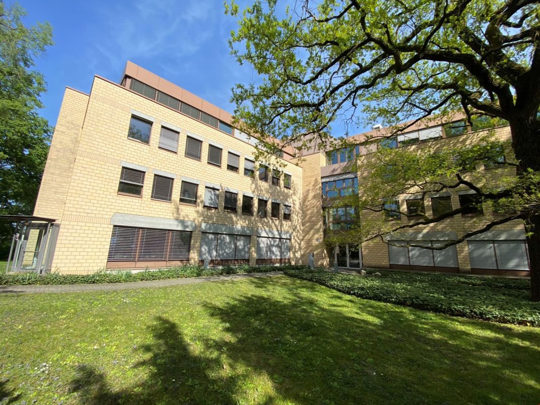 19m² office