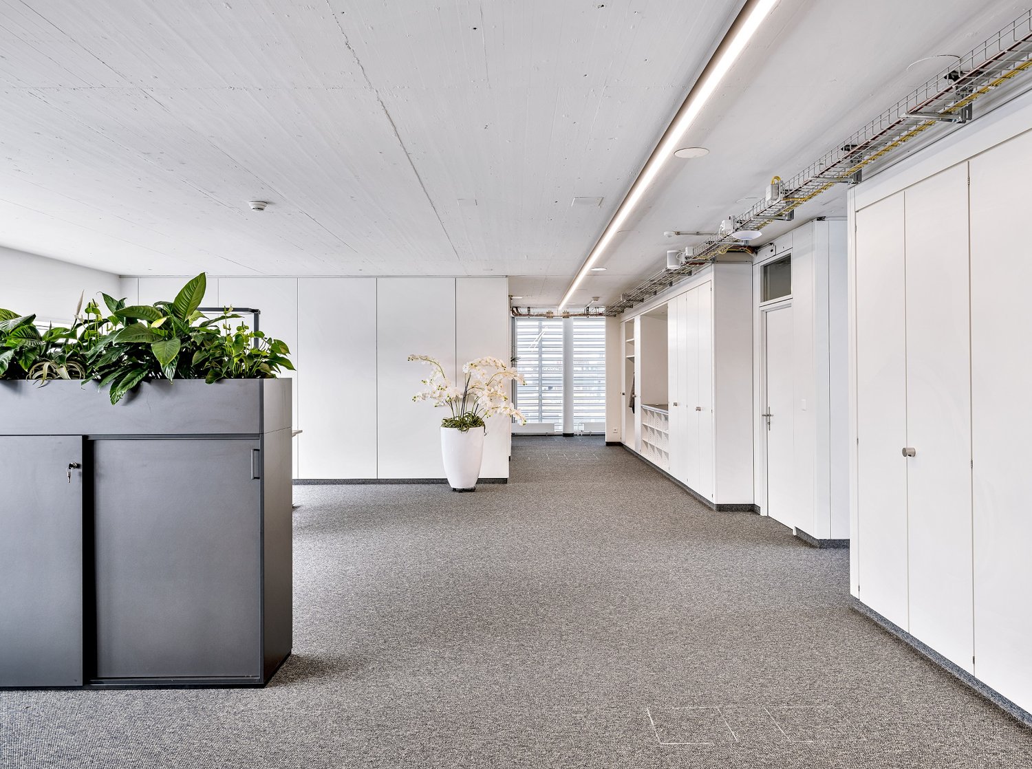 958m² office