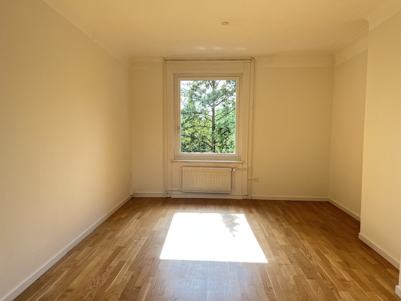 150m² office