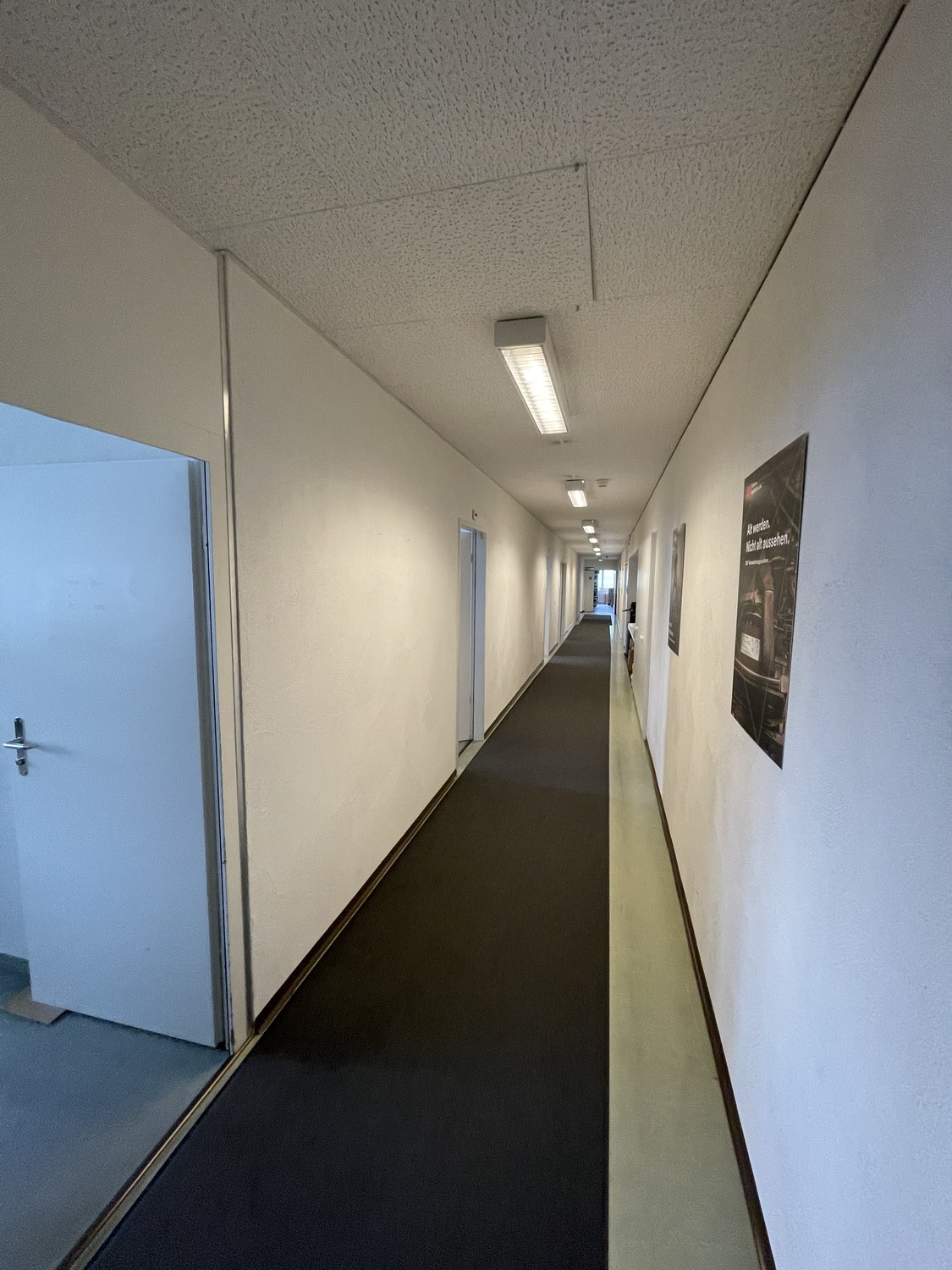 300-1240m² commercial