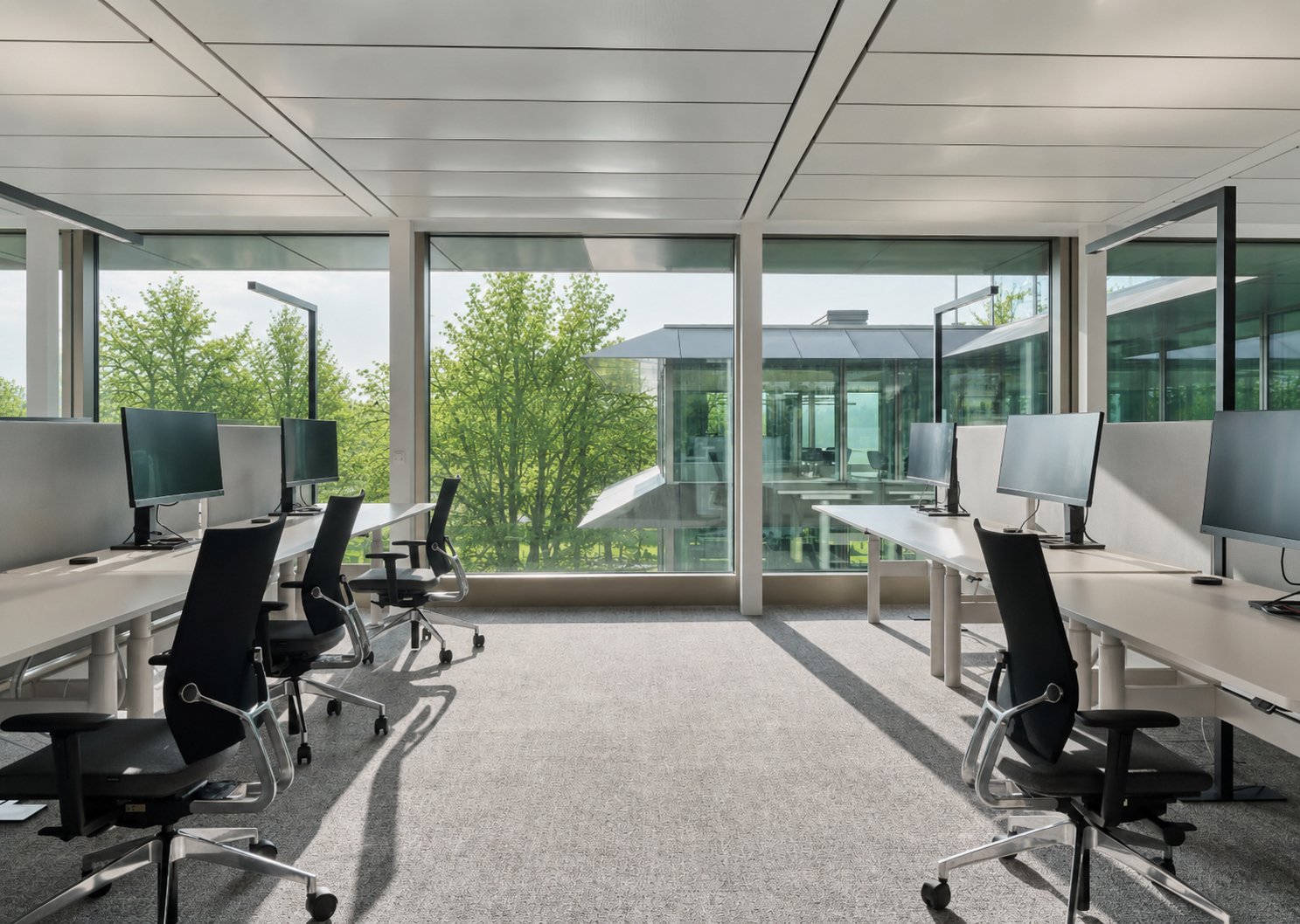 1451m² office