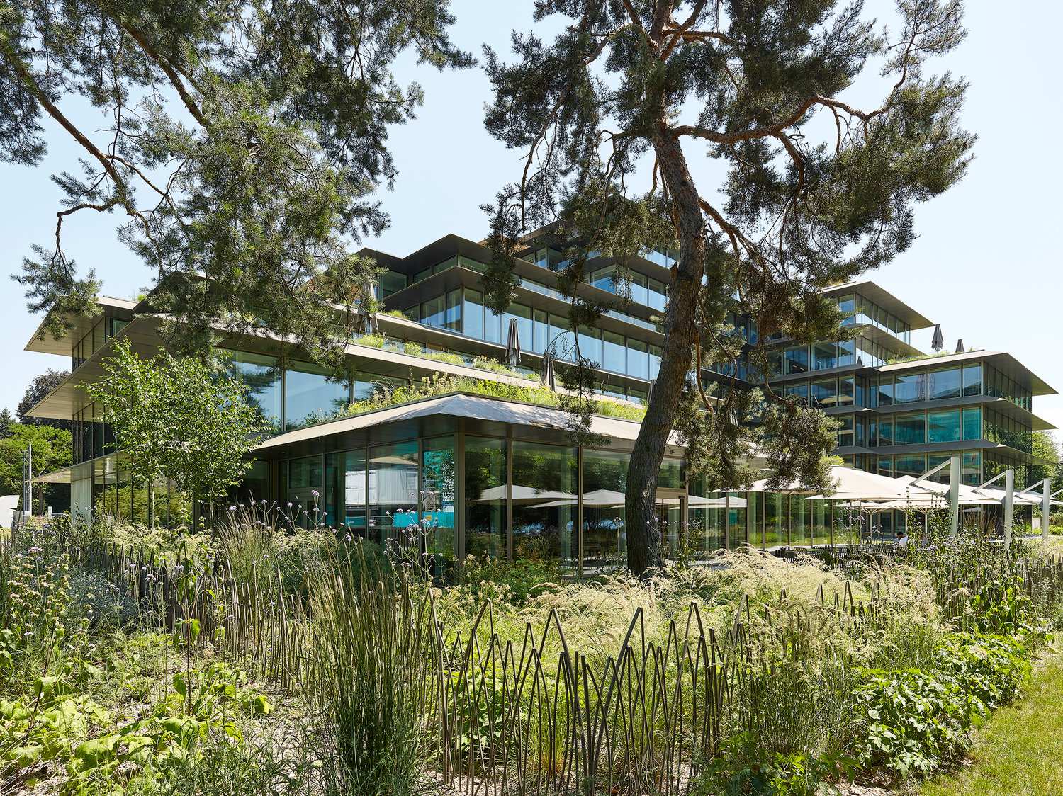 1451m² office
