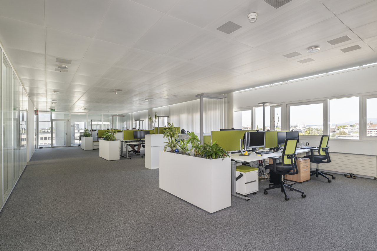 700m² office, Foto 3 von 10