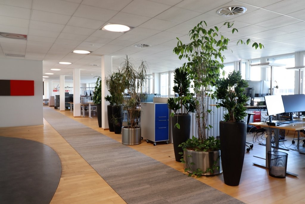 707m² ufficio, foto 10 di 10