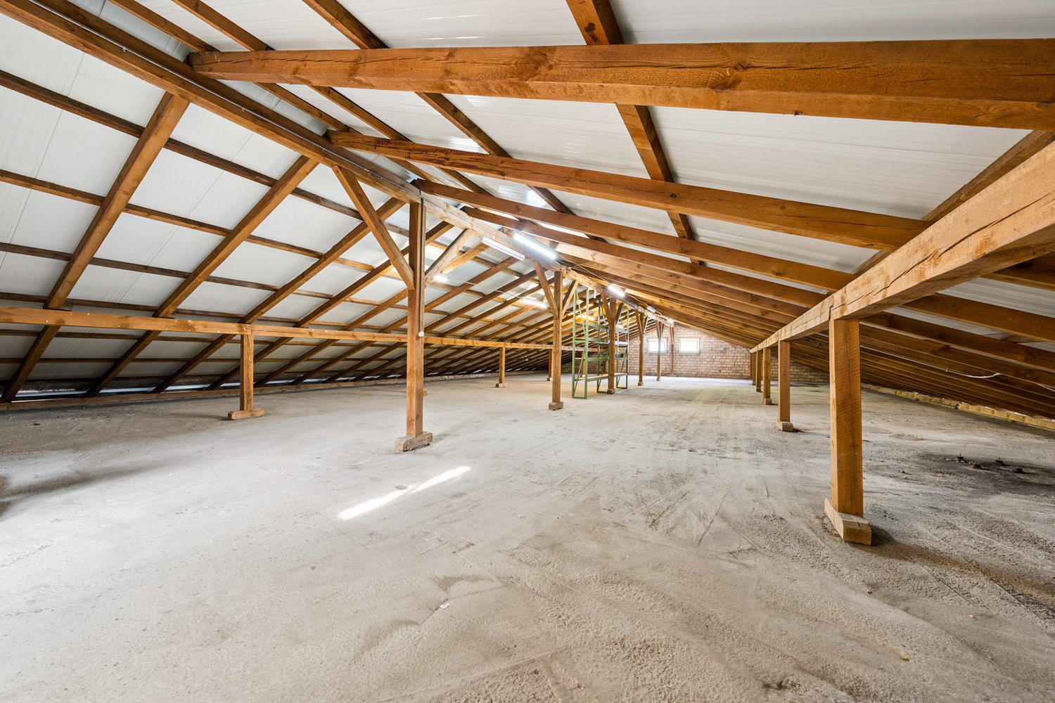 3890m² commercial, photo 7 sur 10