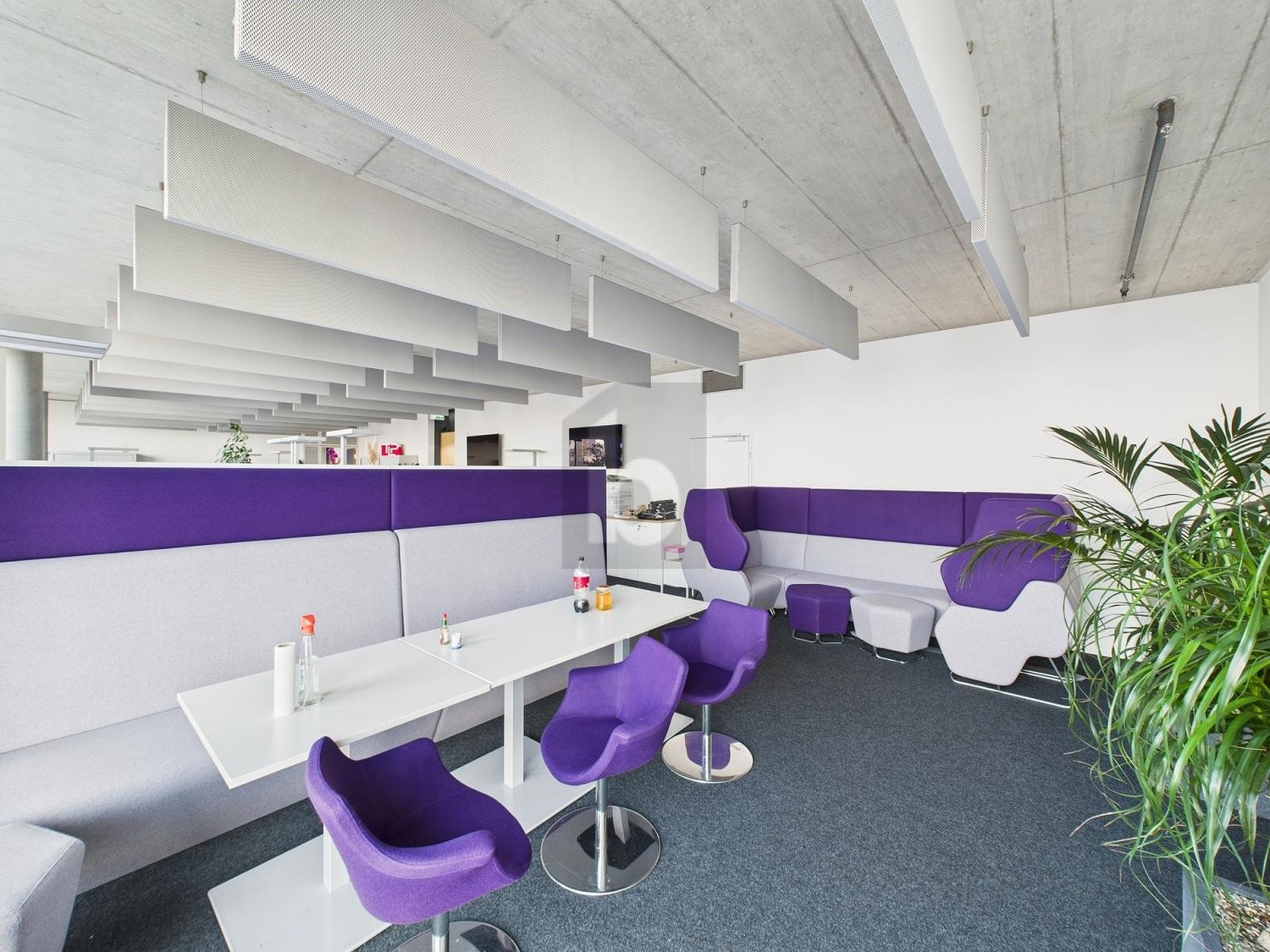 146m² office