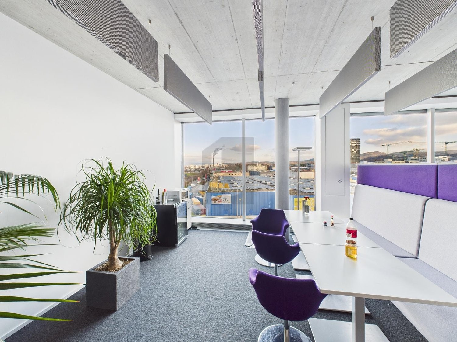 146m² office