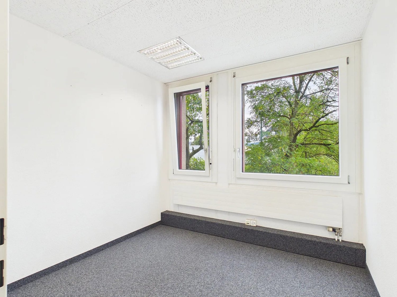 220m² commercial, Foto 9 von 10