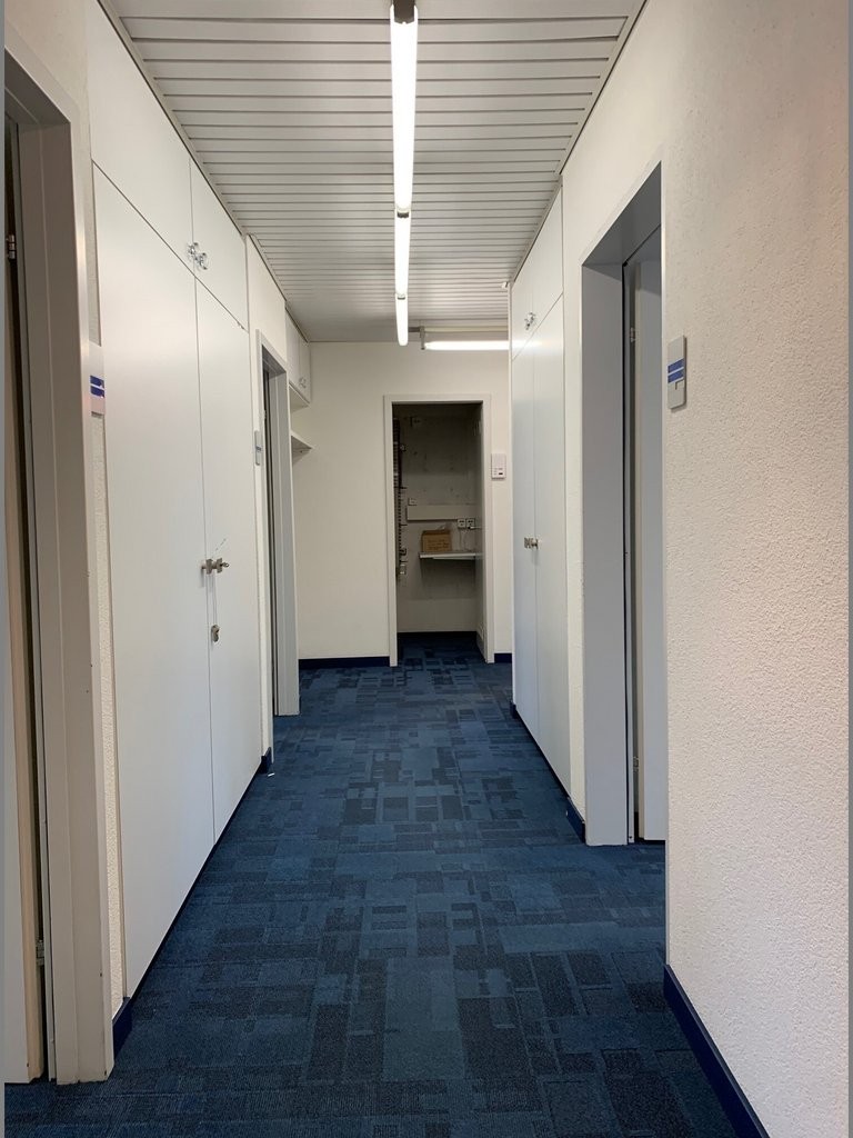 242m² office
