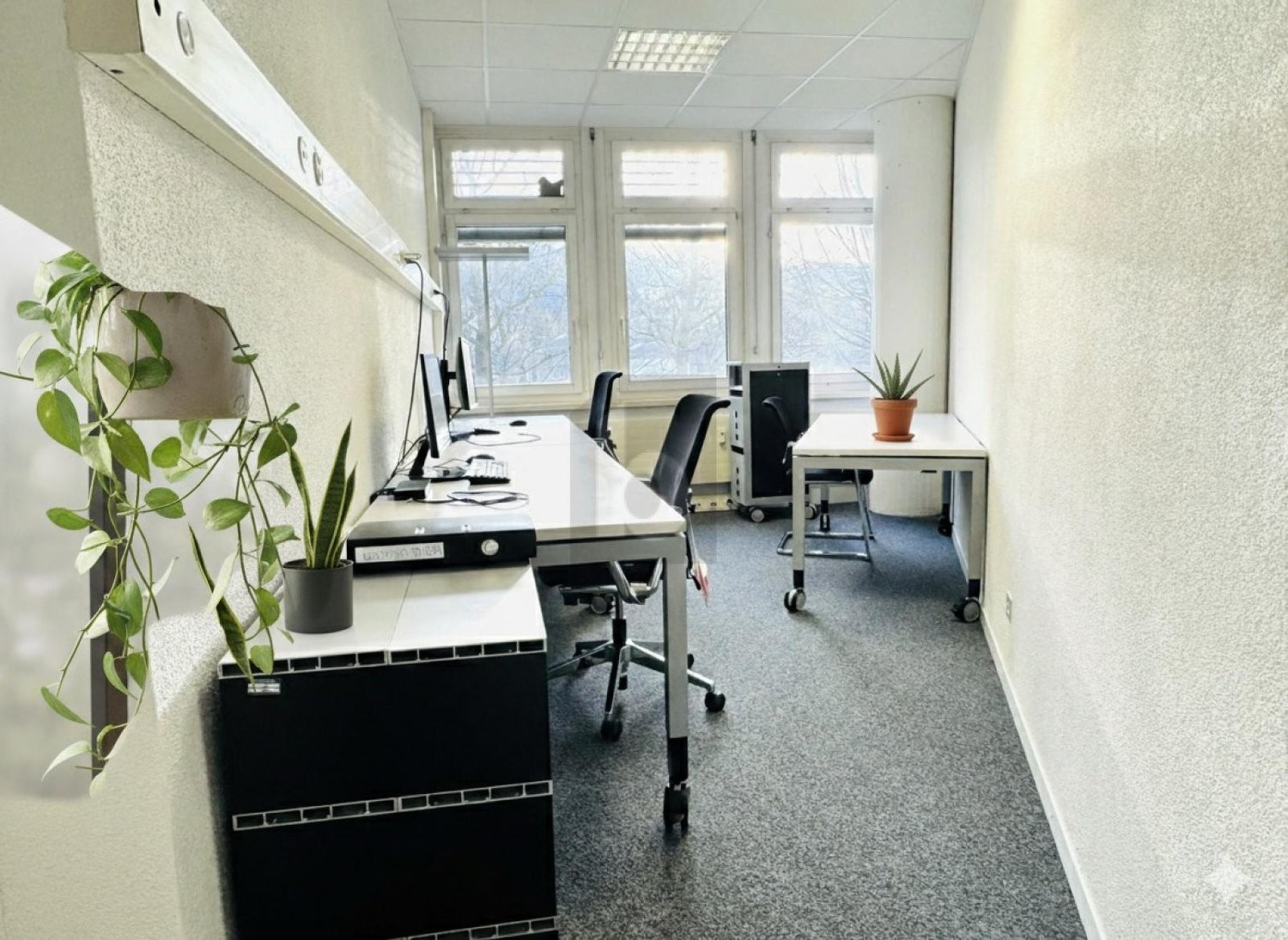 250m² office