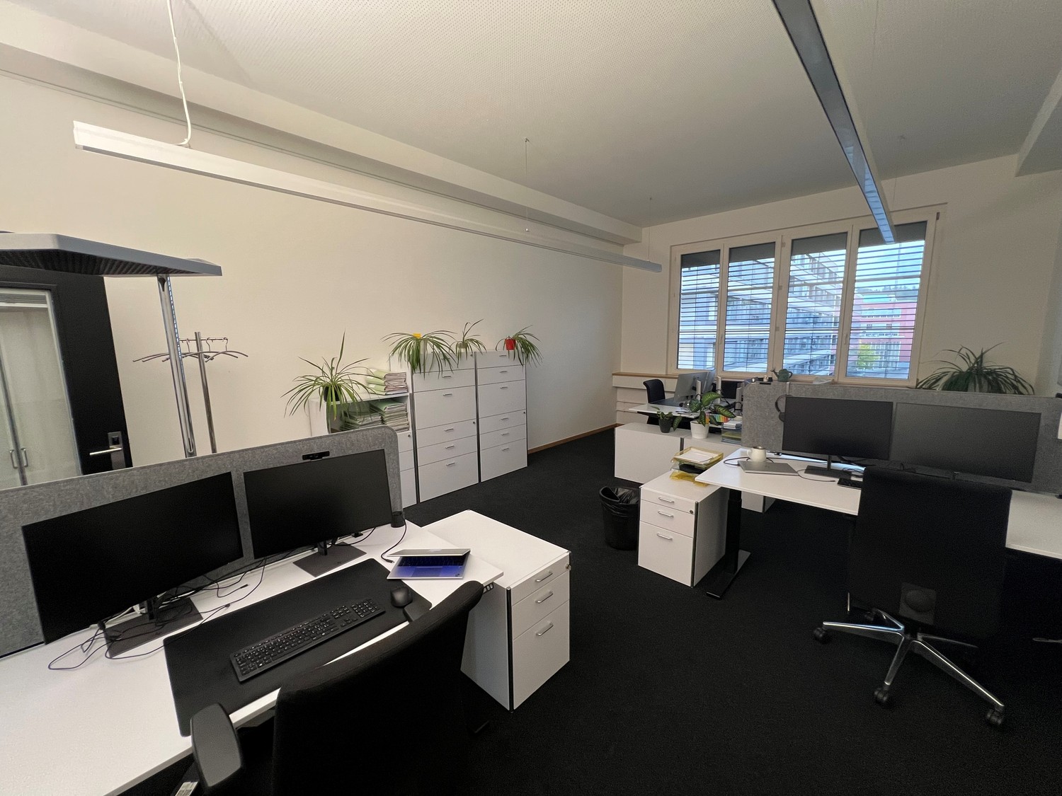 442m² office