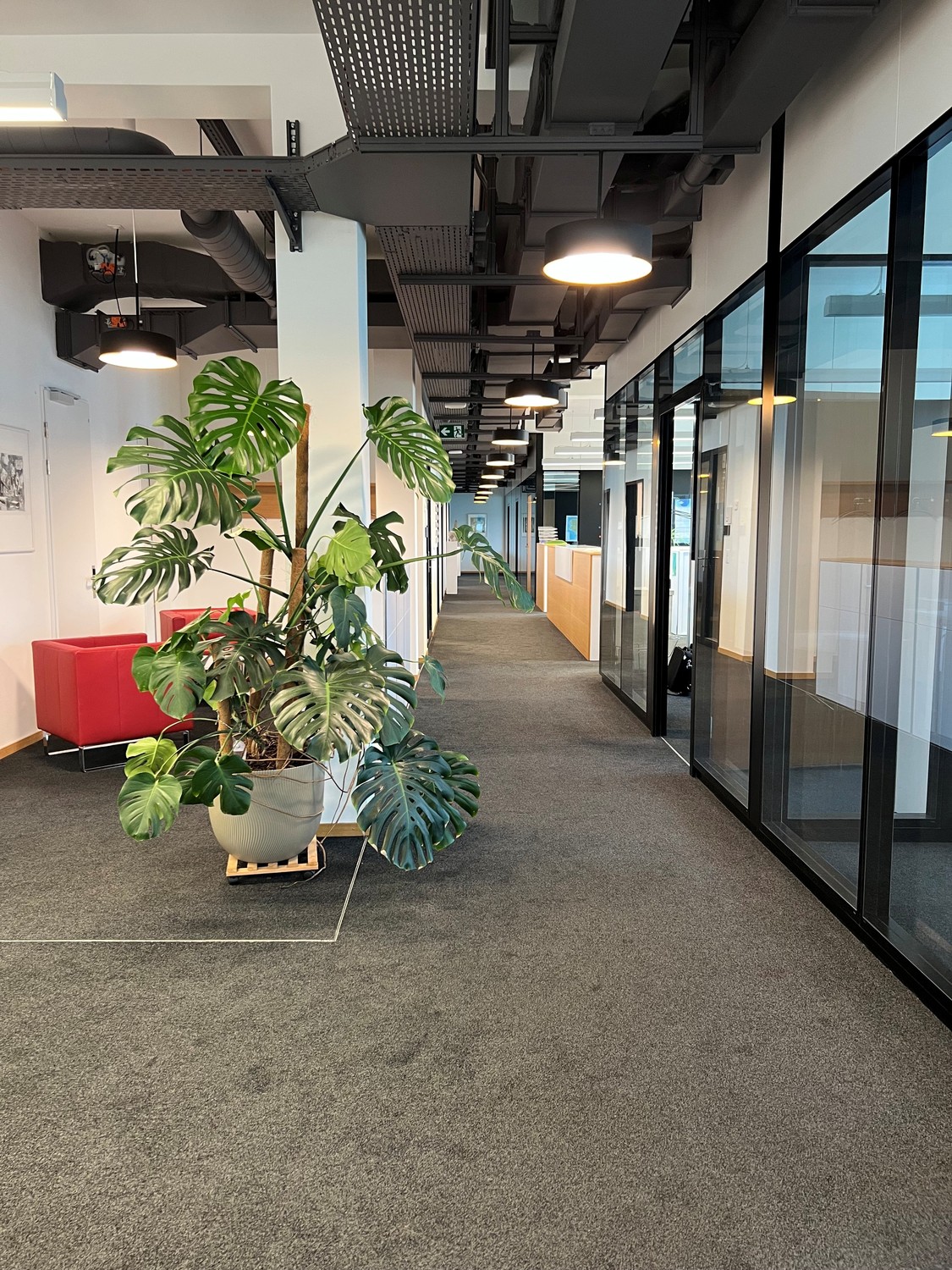 442m² office
