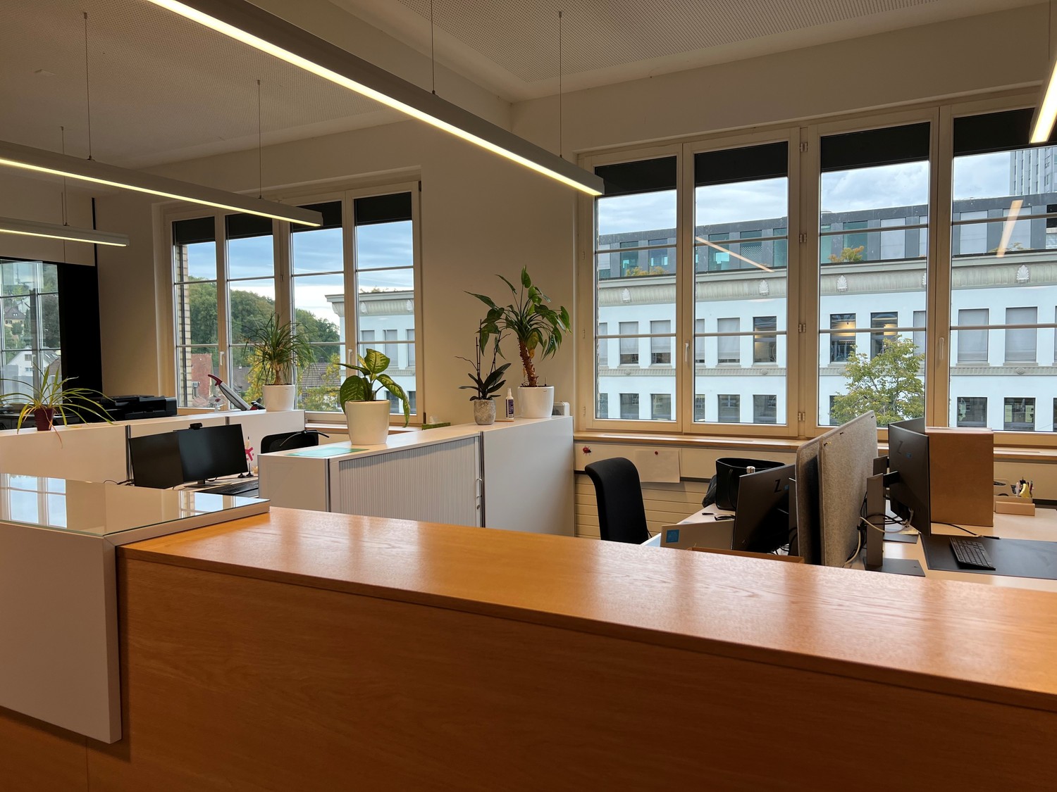 442m² office