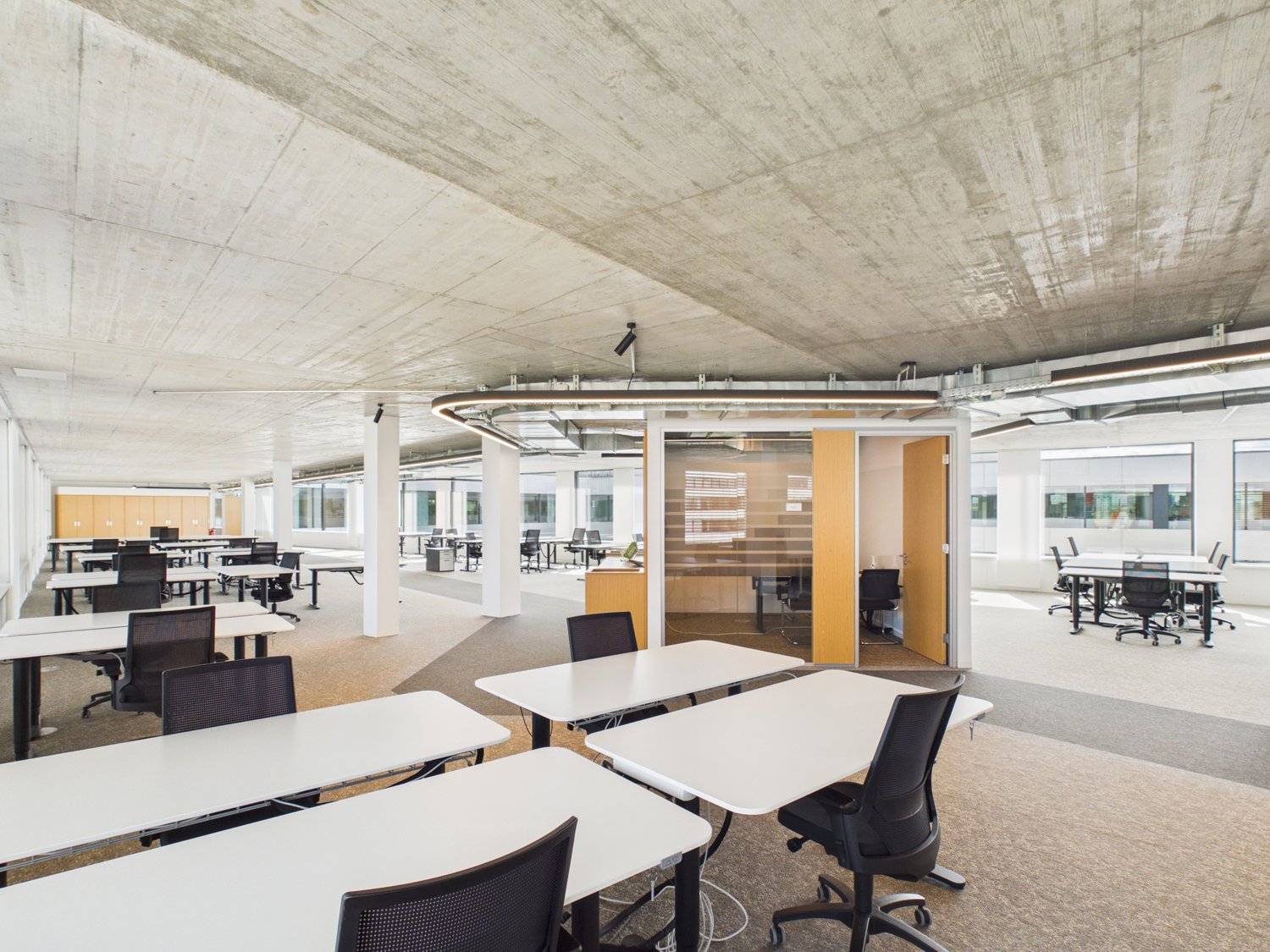 1190m² office