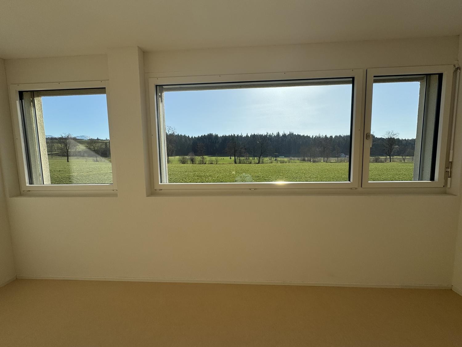52m² commercial