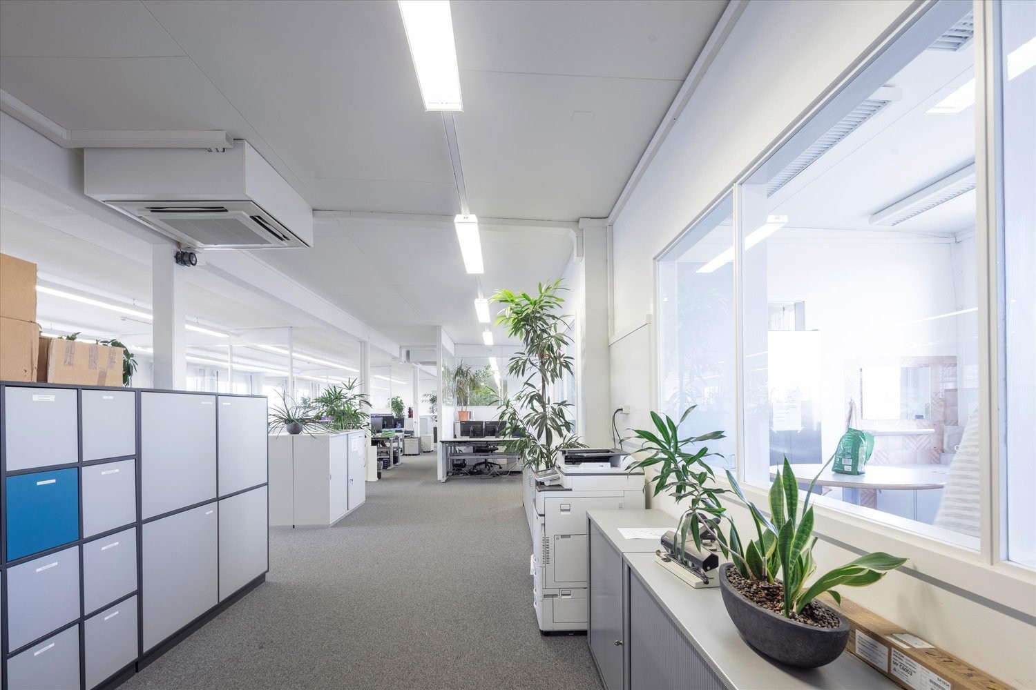 834m² commercial