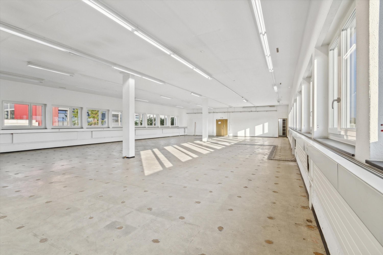 619m² office