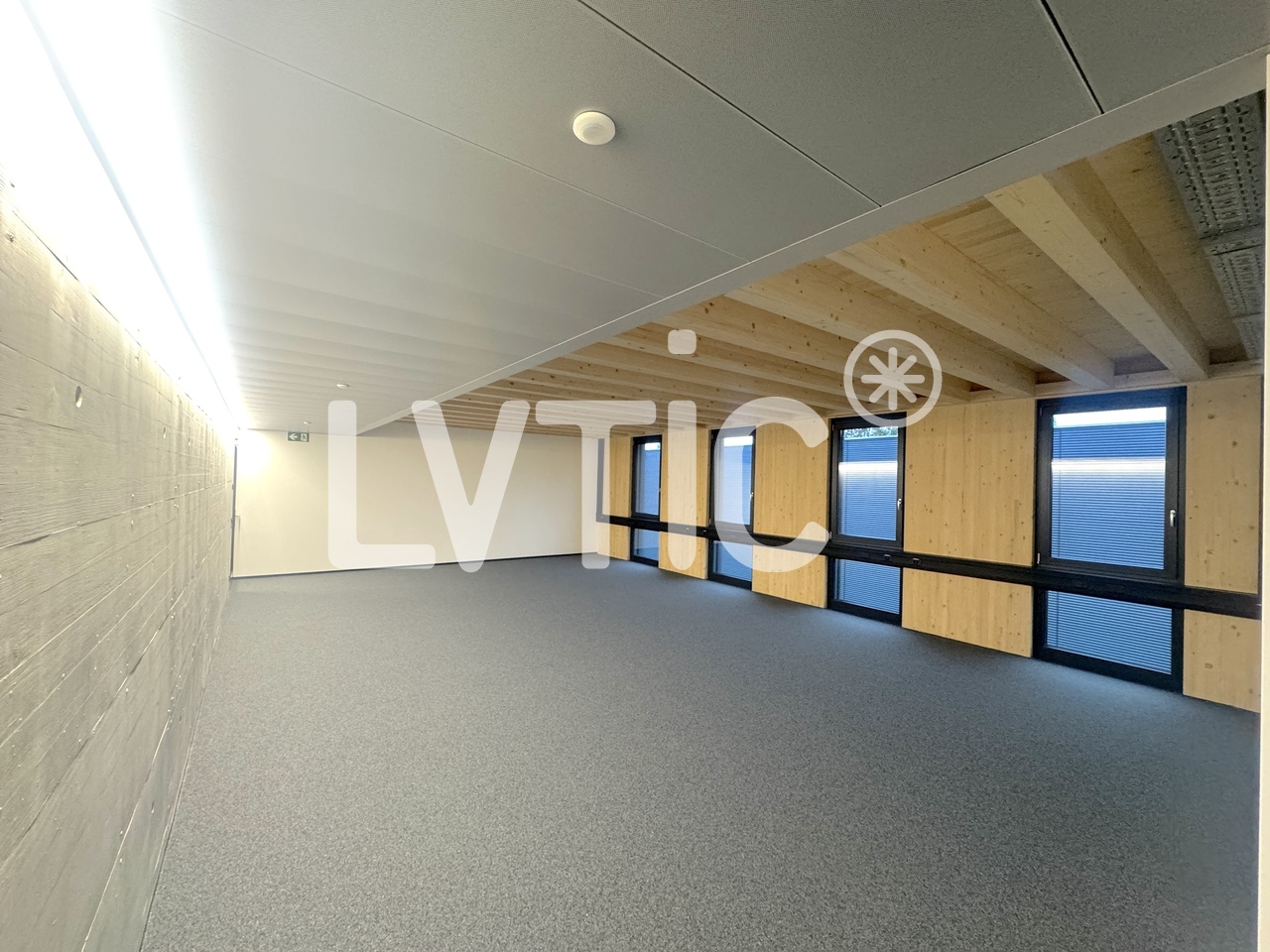 245m² Büro