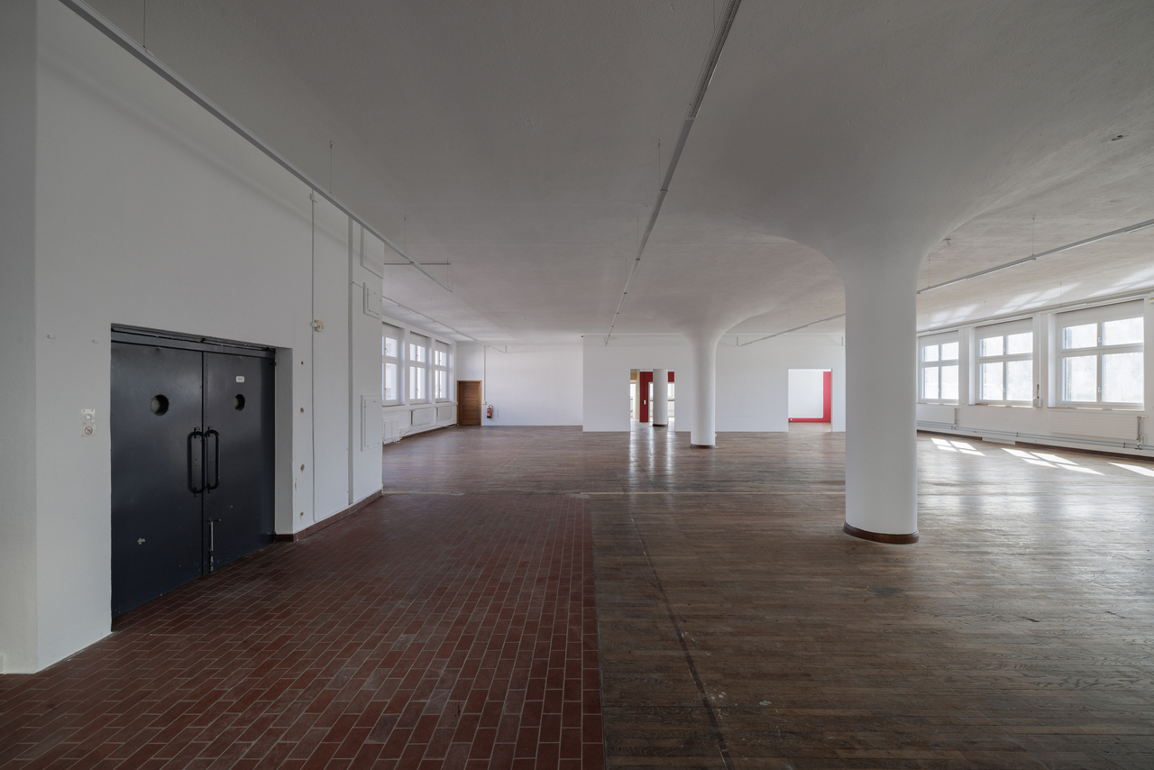 584m² commercial