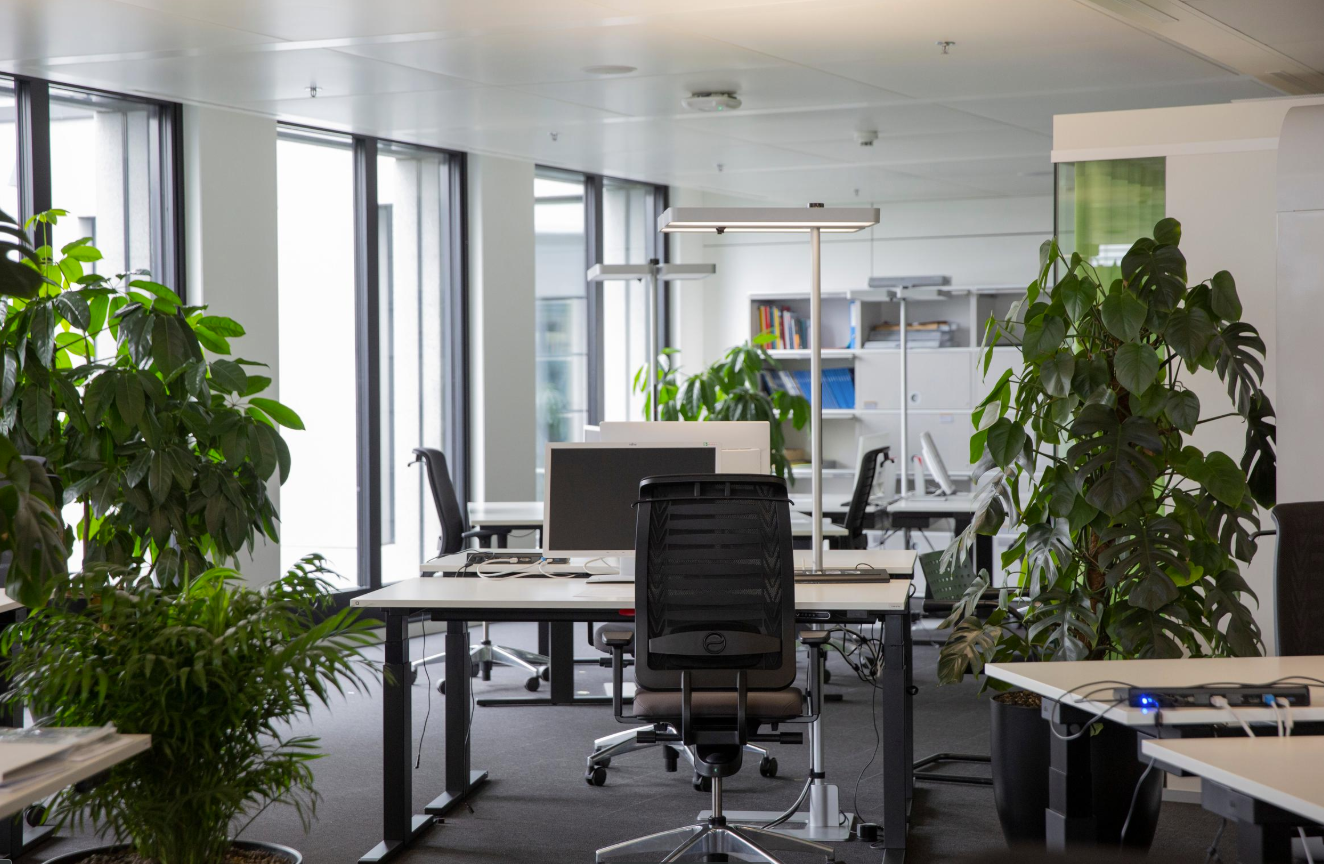 Büro, Foto 1 von 4