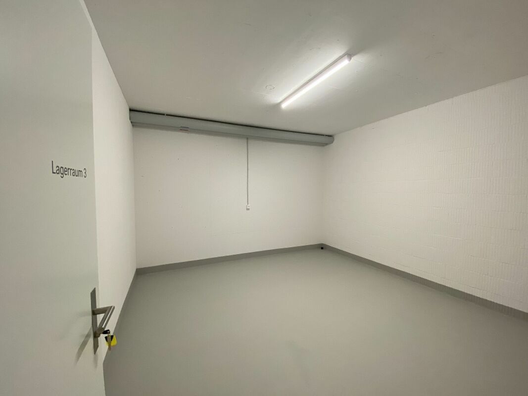 Cellar compartment