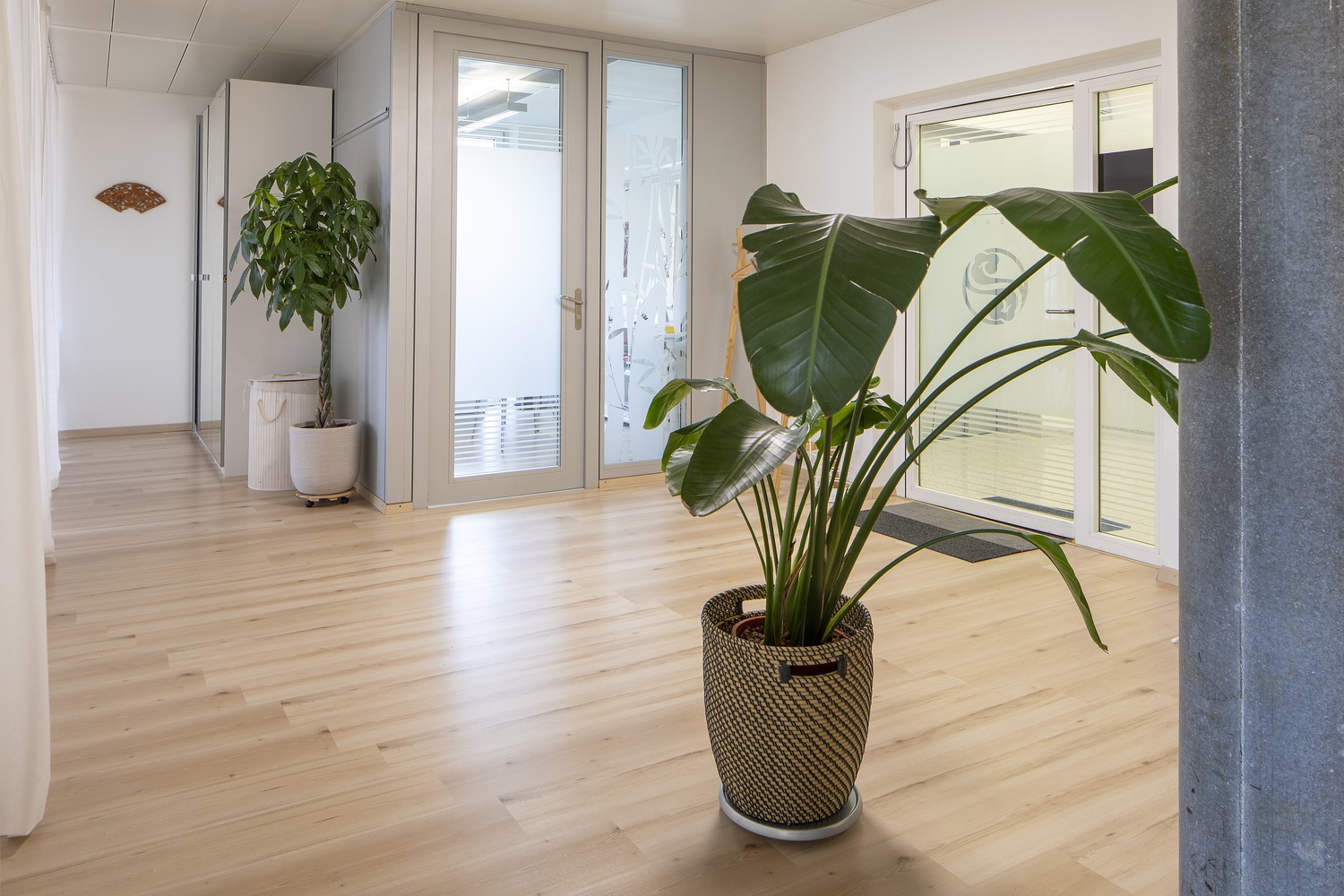 100m² commercial