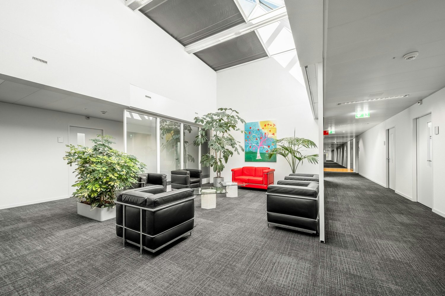 340m² office