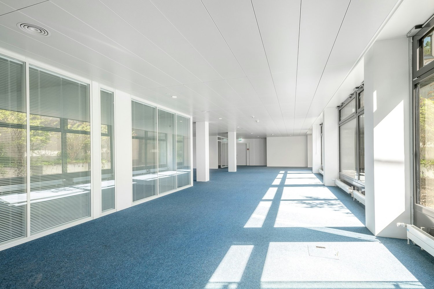 316m² office