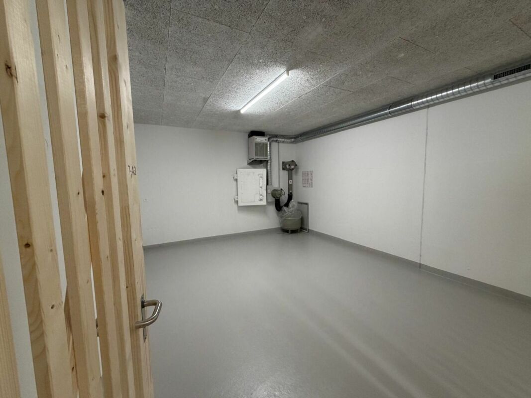 Cellar compartment, photo 1 of 4