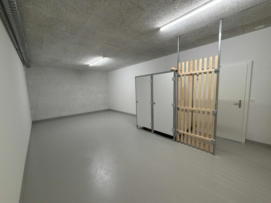Cellar compartment, photo 4 of 4