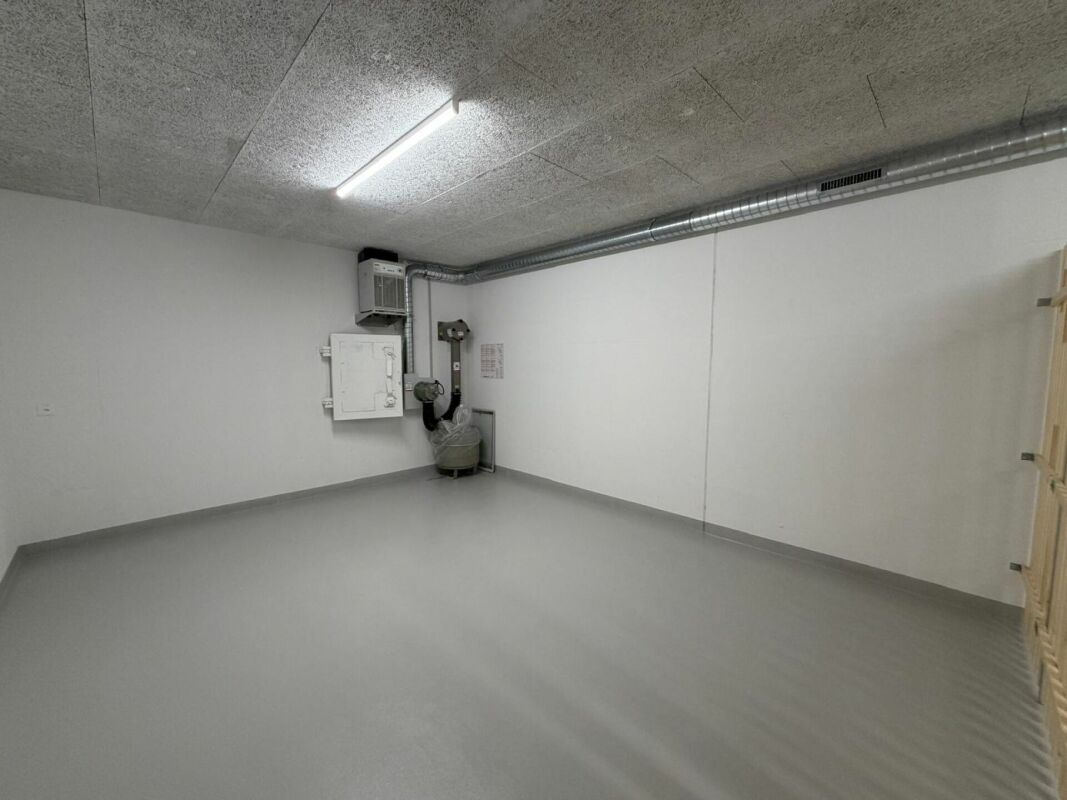 Cellar compartment, photo 2 of 4