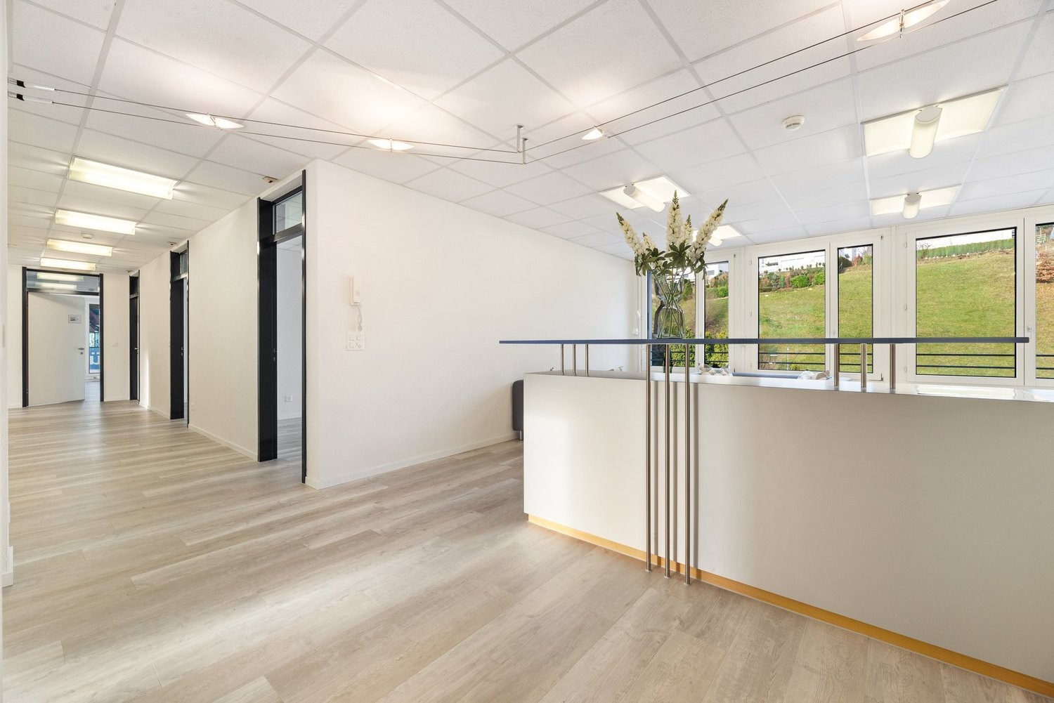 29m² office, photo 4 of 6