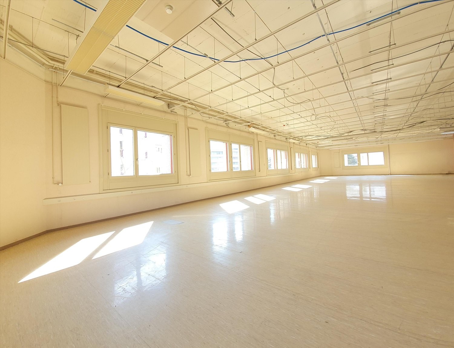 443m² Büro
