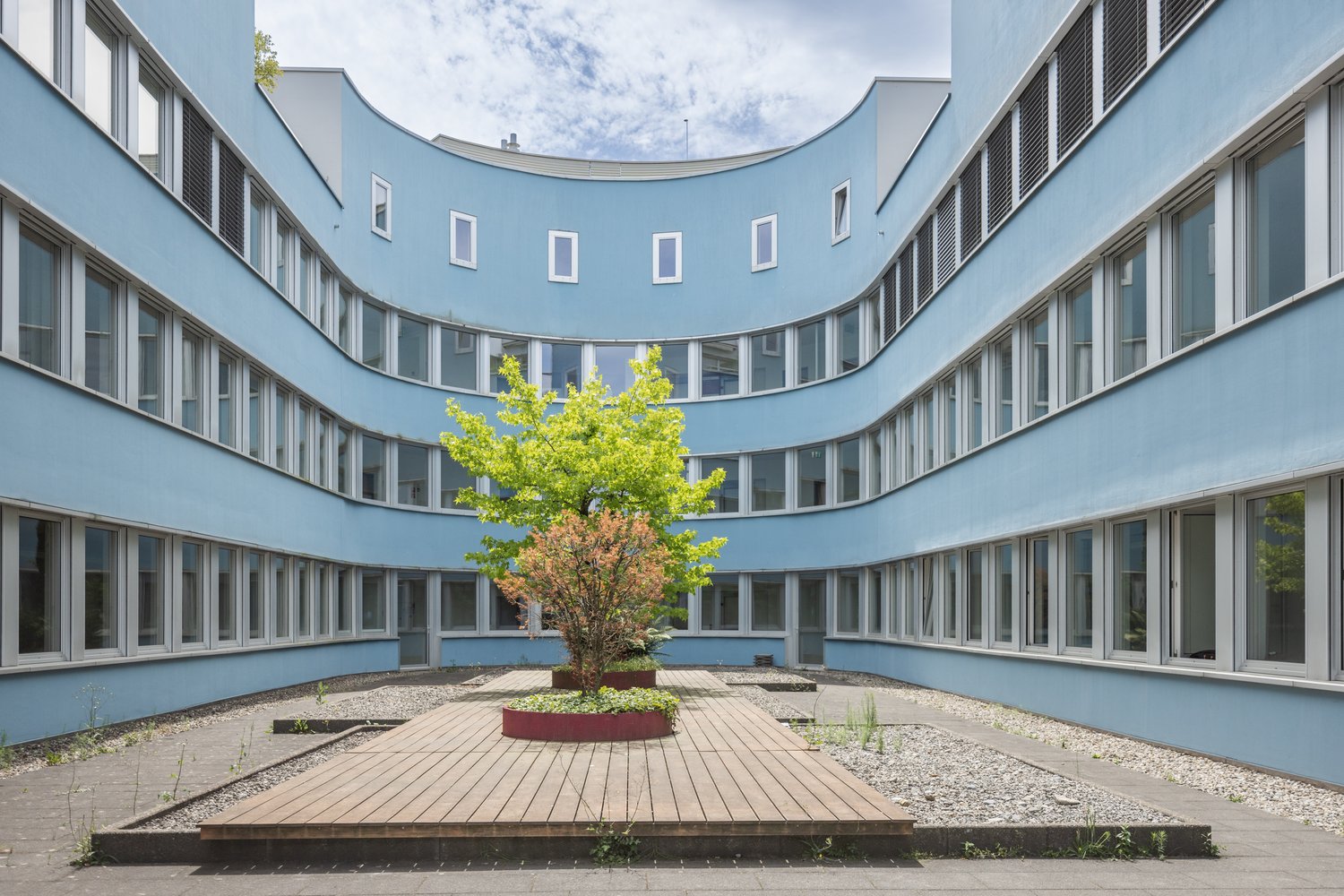 590m² office