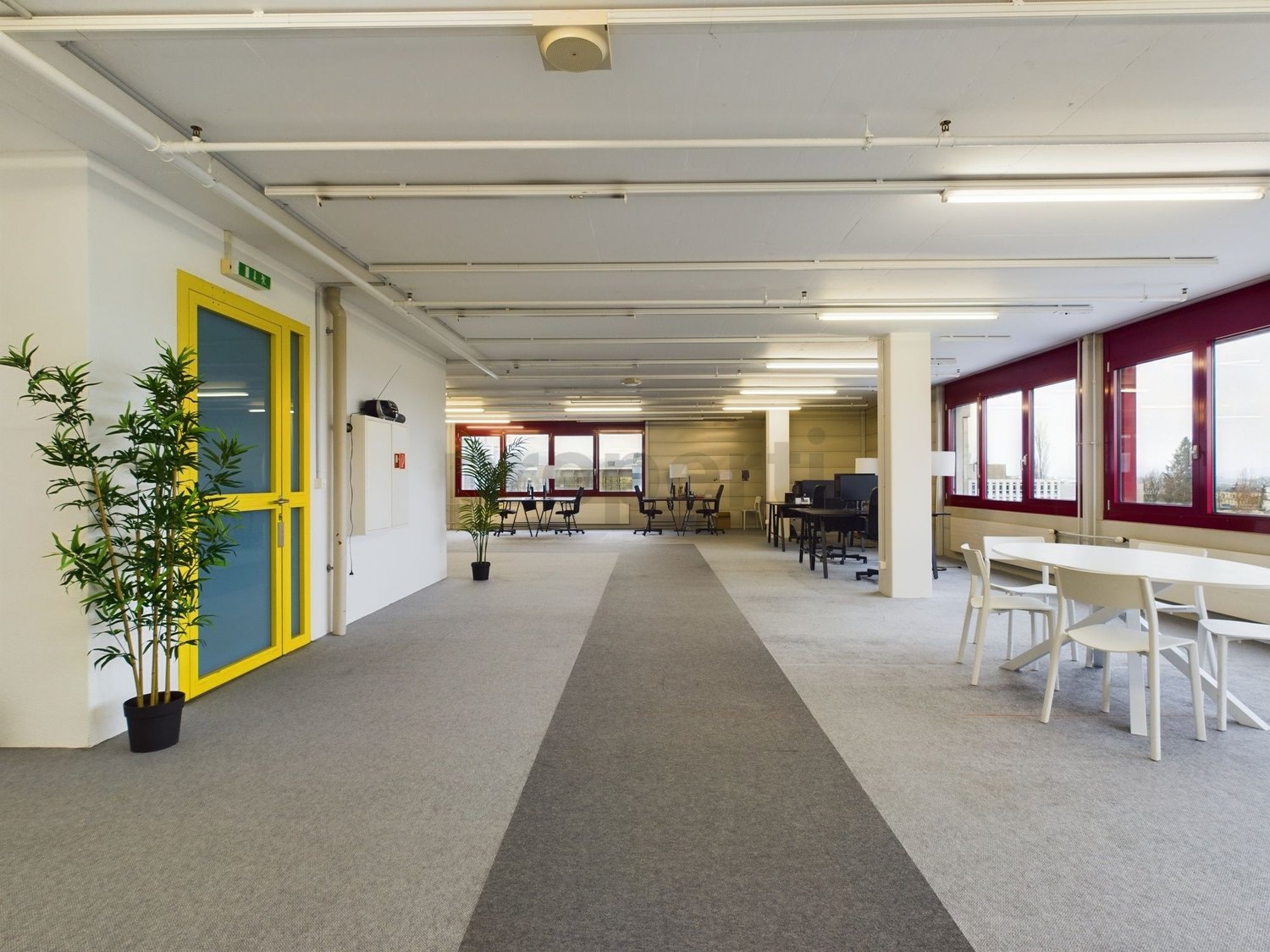 Bureau de 250m², photo 4 sur 7