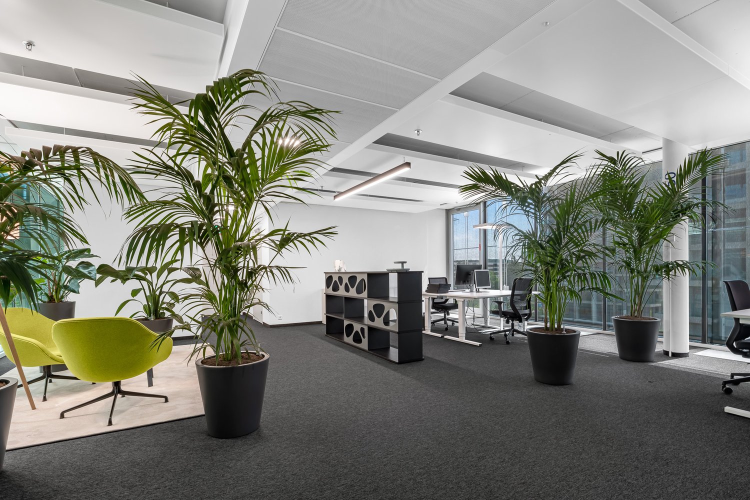 700m² office, Foto 6 von 10