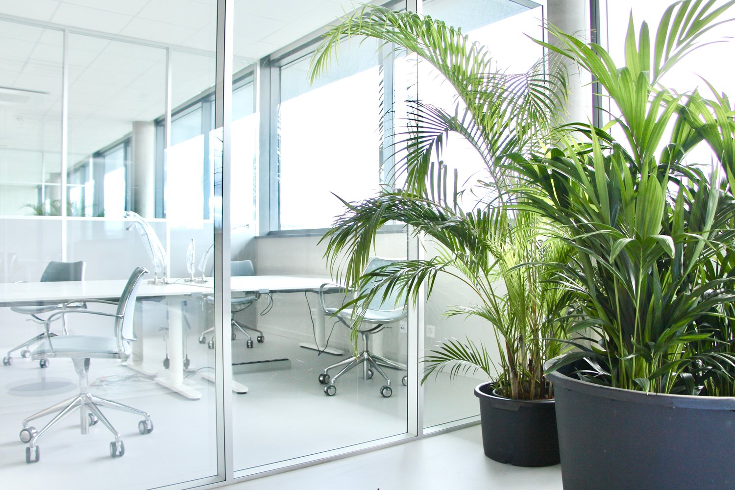 Büro