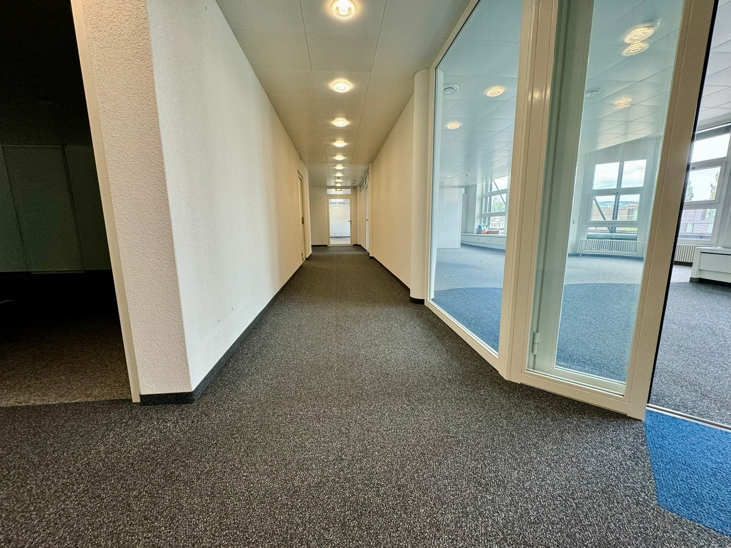 257m² commerciale, foto 2 di 10