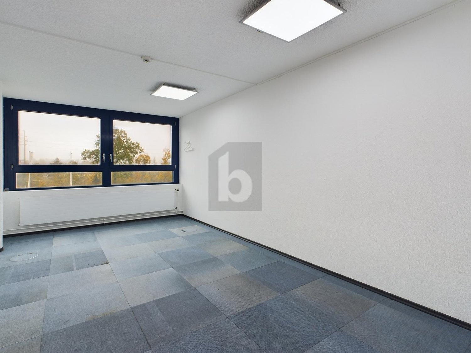 negozio di 800m²