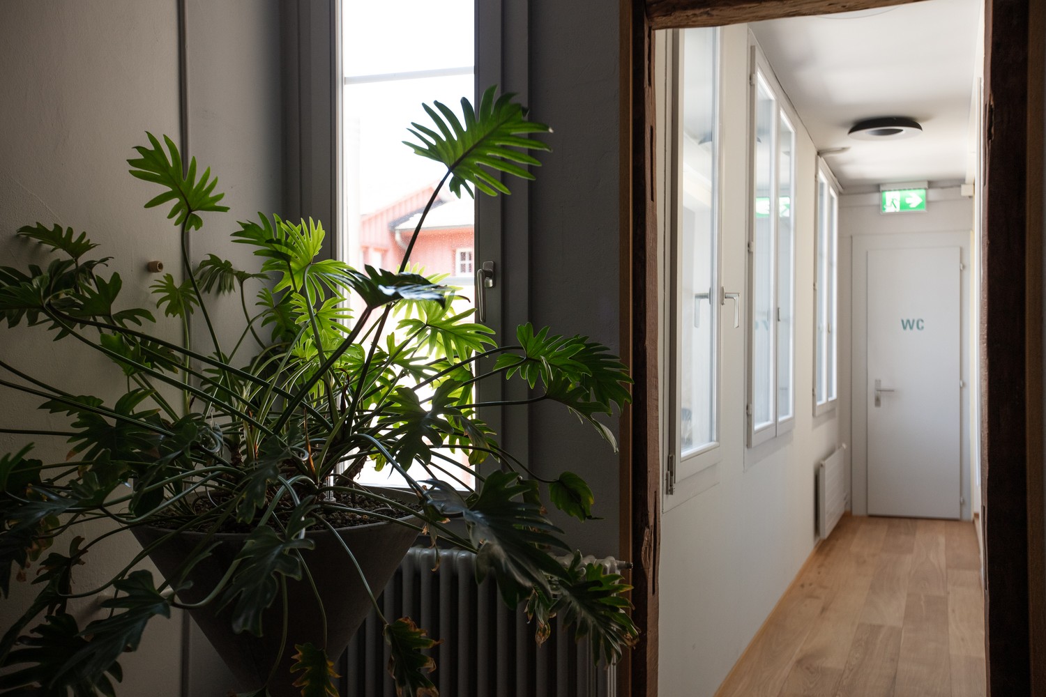 145m² bureau, photo 4 sur 9