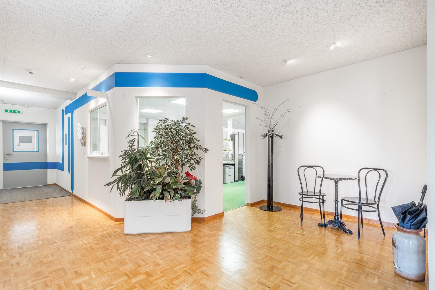 55m² office