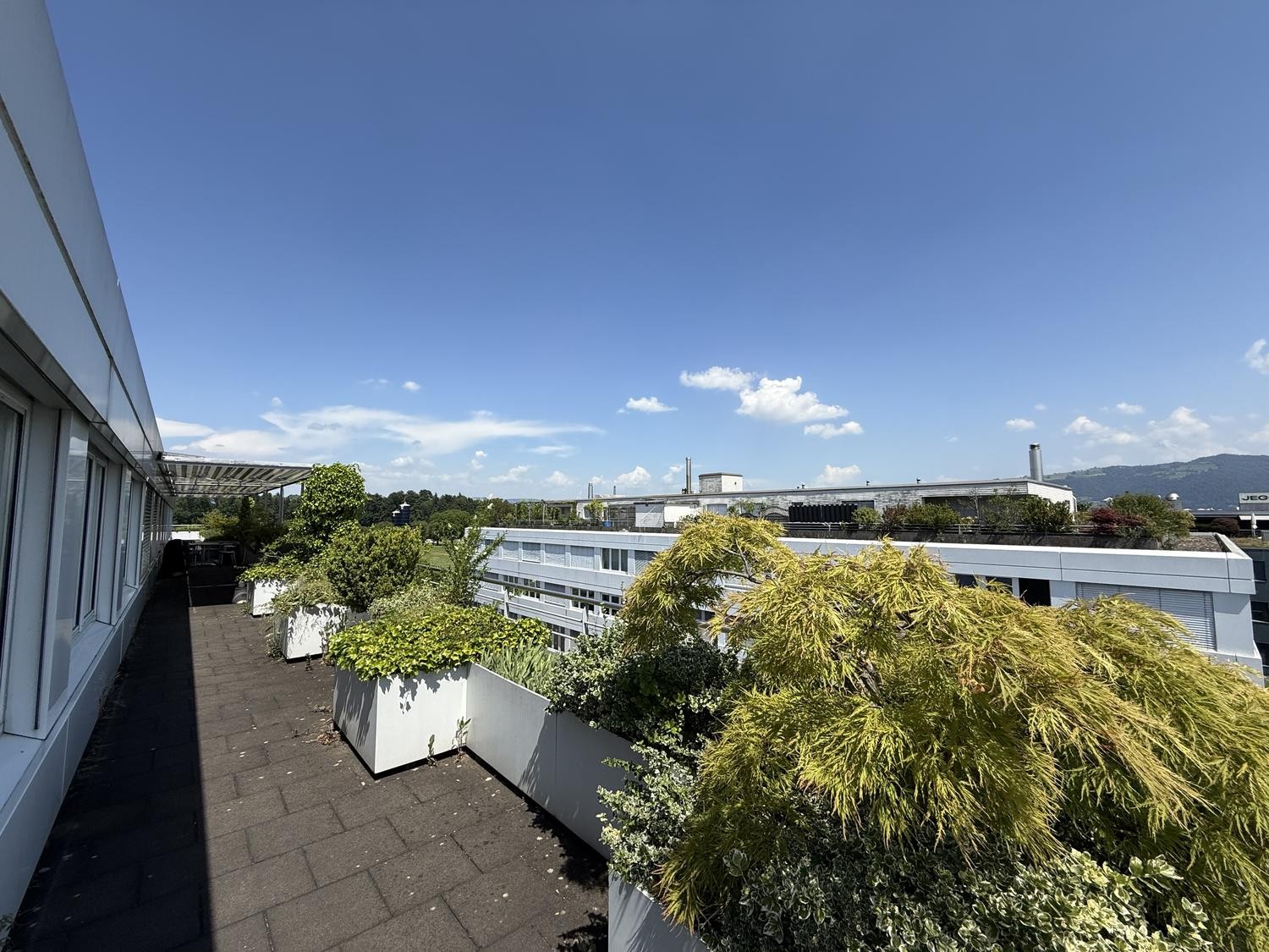 275m² office