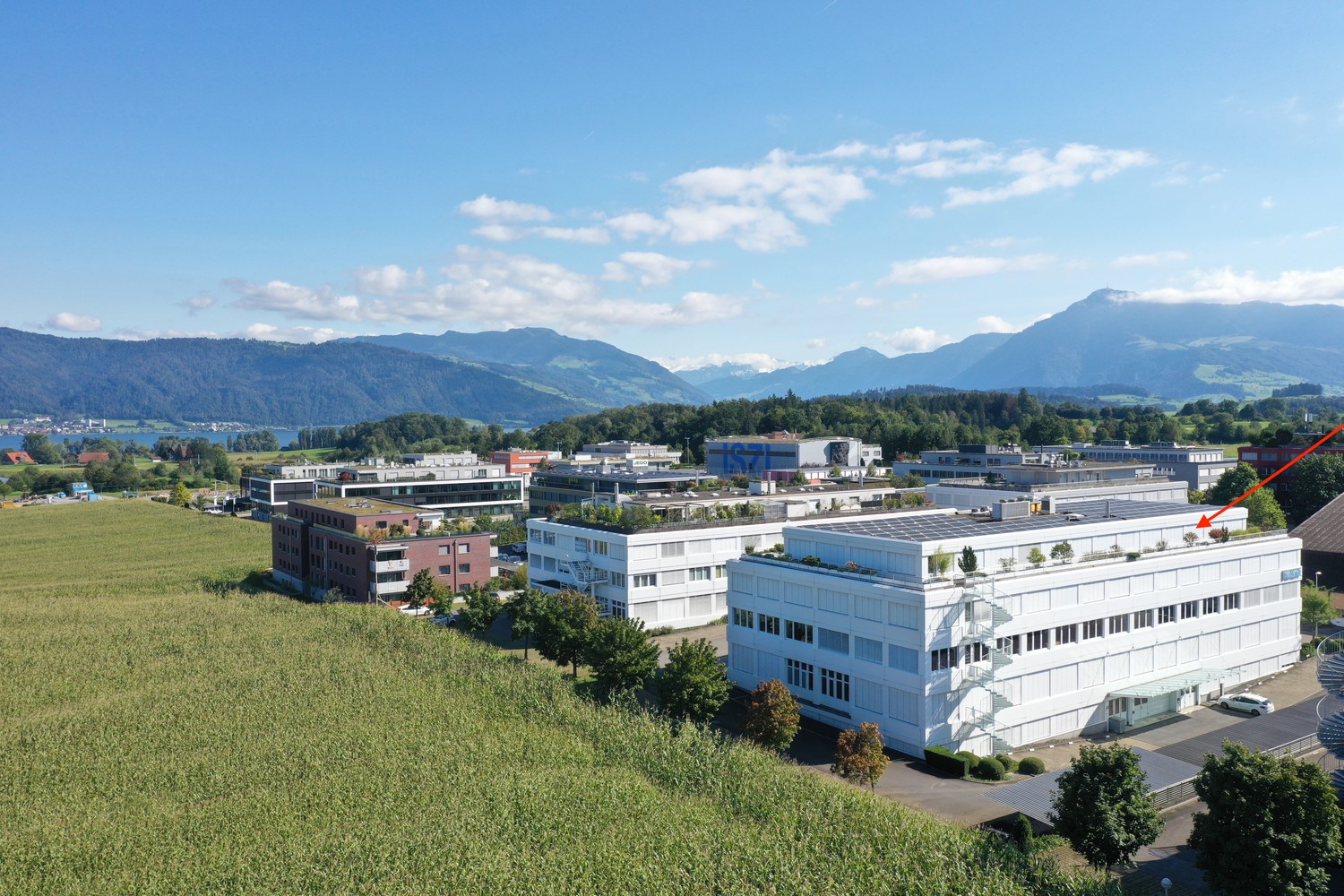 275m² office