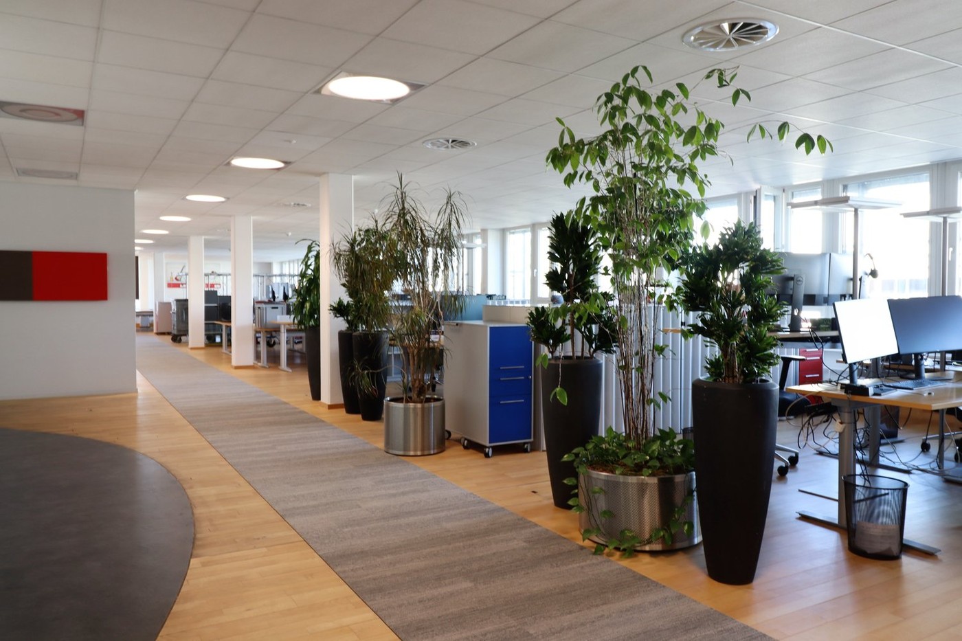 4376m² office, Foto 5 von 10