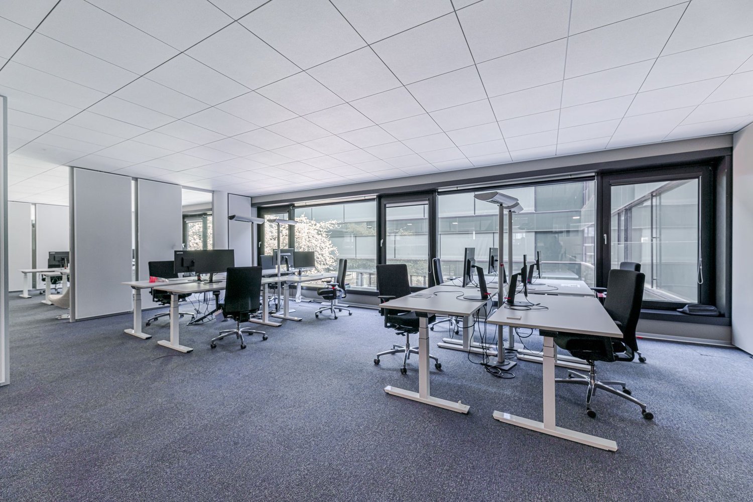 2000m² office