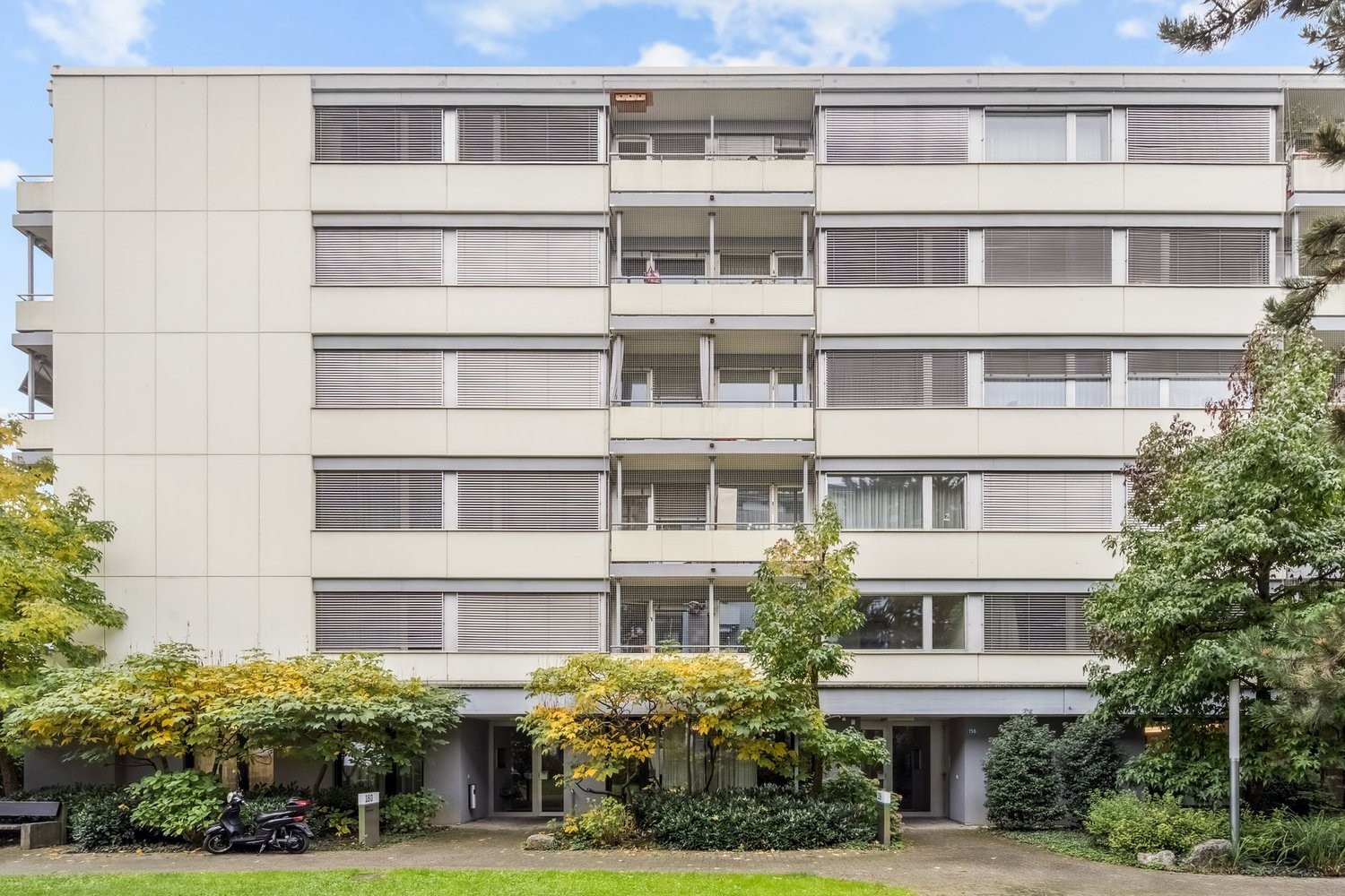 81m² commercial