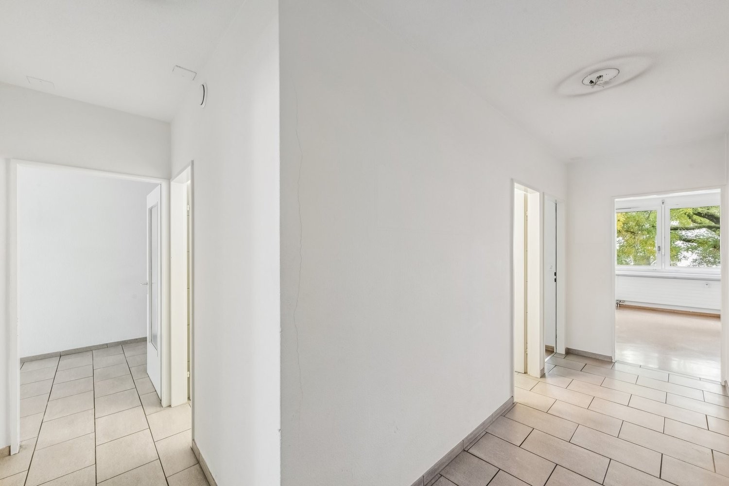 81m² commercial