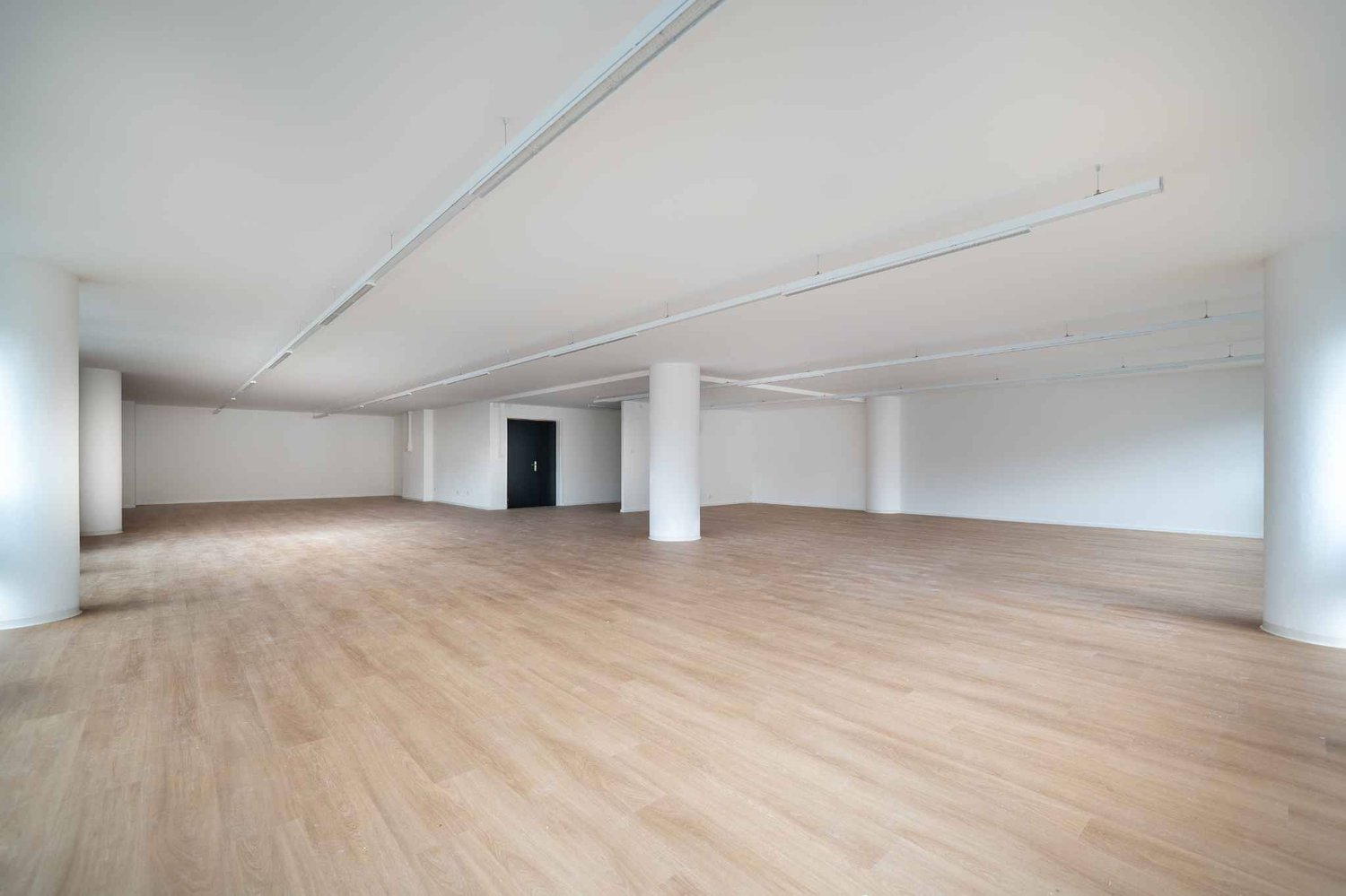 123m² office