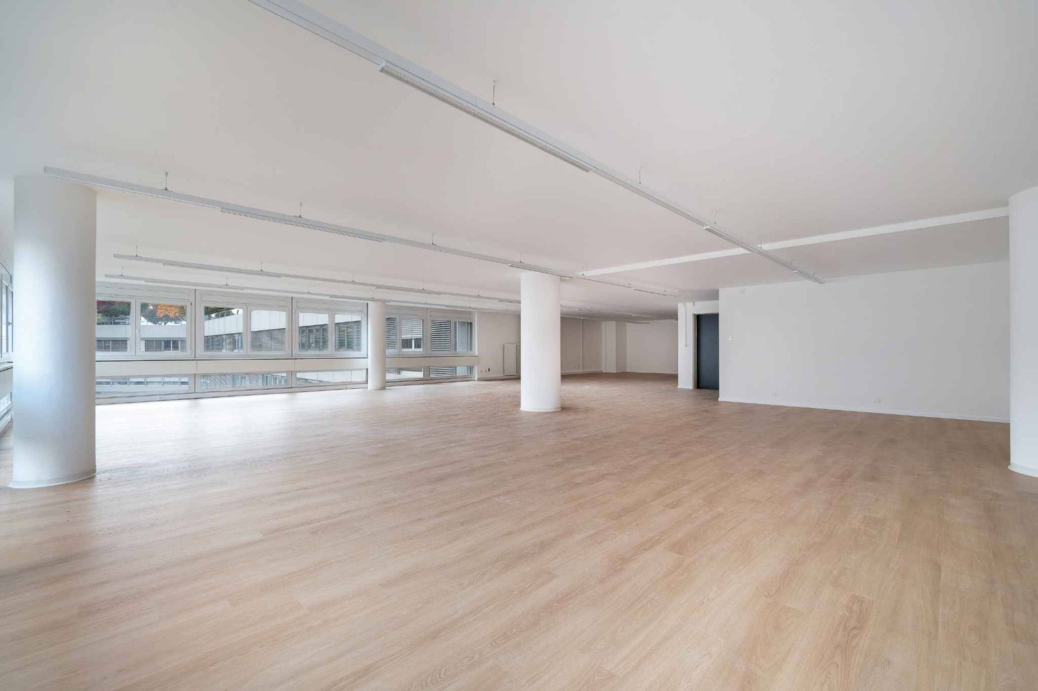 123m² office