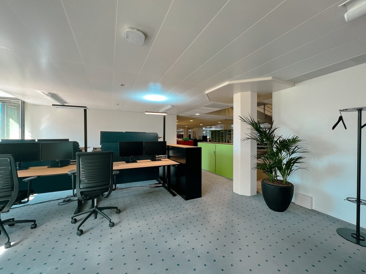 644m² commercial, Foto 5 von 7